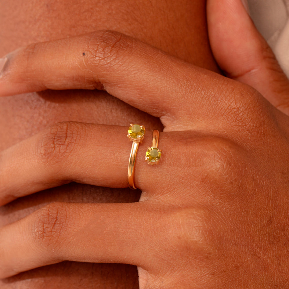 Anel Haal Redondo Duplo - Prata 925